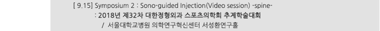 [ 9.15] Symposium 2 : Sono-guided injection(Video session) -spine- : 2018년 제32차 대한정형외과 스포츠의학회 추계학술대회 / 서울대학교병원 의학연구혁신센터 서성환연구홀