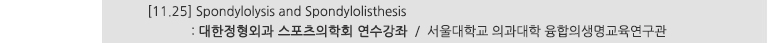 [11.25] Spondyloysis and Spondylolisthesis : 대한정형외과 스포츠의학회 연수강좌 / 서울대학교 의과대학 융합의생명교육연구관